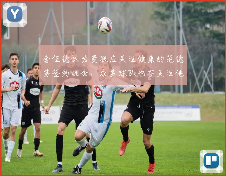舍伍德认为曼联应关注健康的范德芬签约机会，众多球队也在关注他