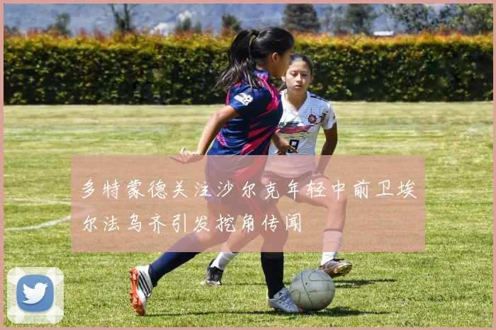 多特蒙德关注沙尔克年轻中前卫埃尔法乌齐引发挖角传闻