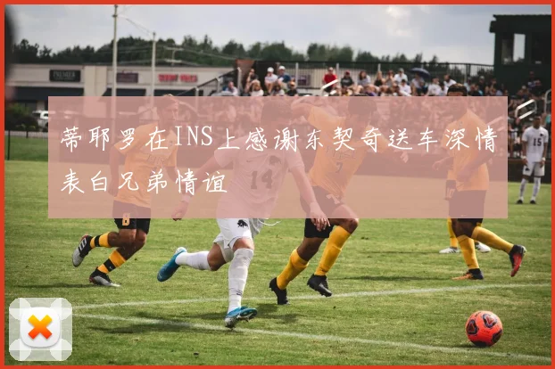 蒂耶罗在INS上感谢东契奇送车深情表白兄弟情谊