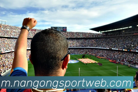 南宫体育平台生态图