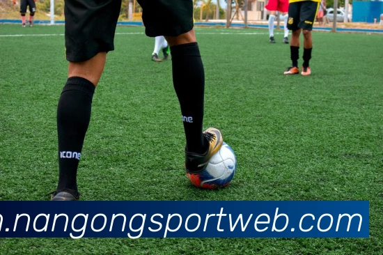 南宫体育全站App